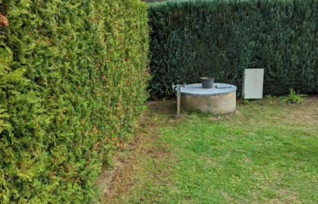 Hecke Robert Schöne Garten- und Bauservice