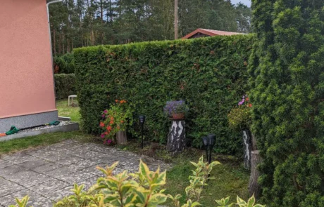 Hecke Robert Schöne Garten- und Bauservice